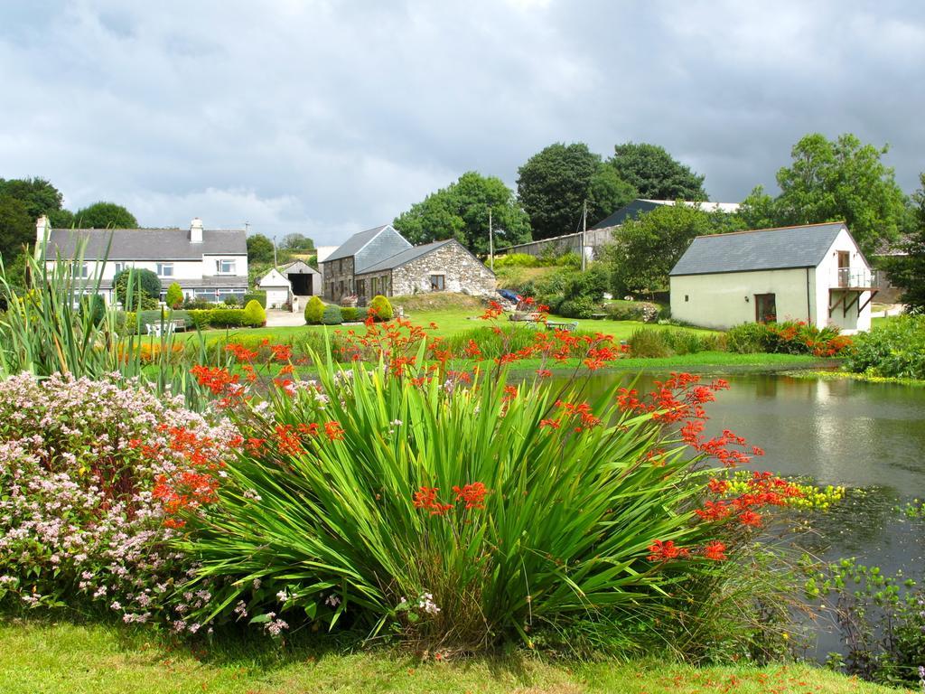 Polhilsa Farm Bed & Breakfast Callington Exterior photo